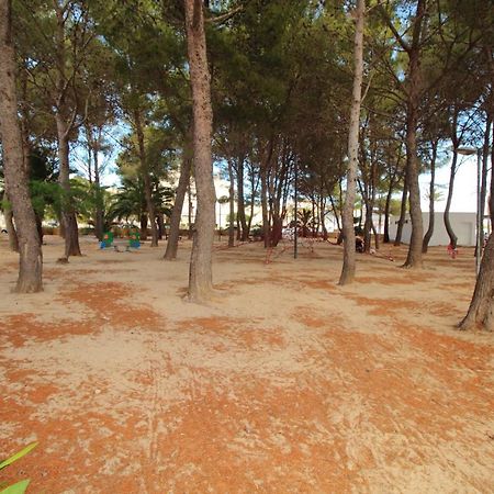 Family Seafront Apt Fantastic Seaview Pollença Esterno foto
